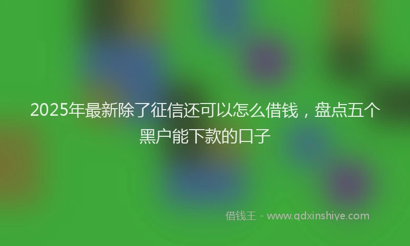 2025年最新除了征信还可以怎么借钱，盘点五个黑户能下款的口子