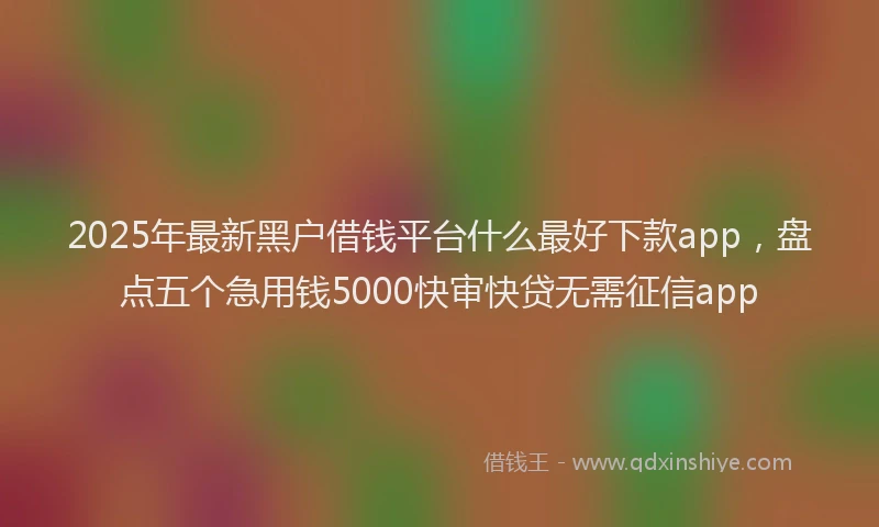 2025年最新黑户借钱平台什么最好下款app，盘点五个急用钱5000快审快贷无需征信app
