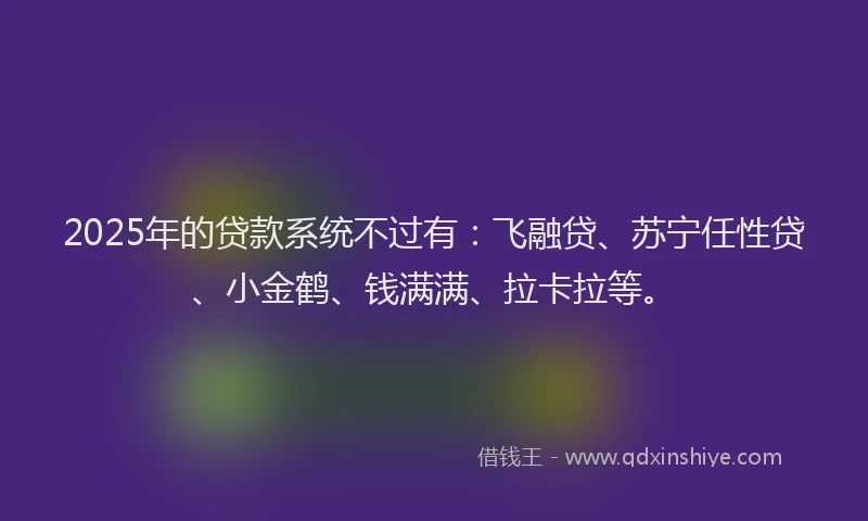 2025年的贷款系统不过有：飞融贷、苏宁任性贷、小金鹤、钱满满、拉卡拉等。