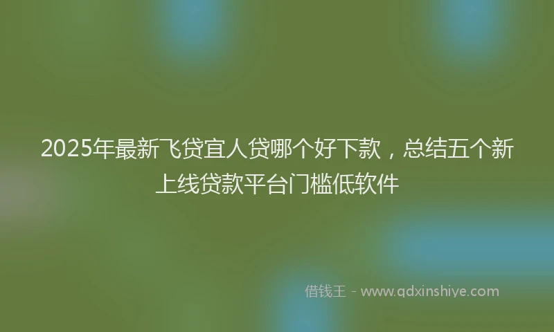 2025年最新飞贷宜人贷哪个好下款，总结五个新上线贷款平台门槛低软件