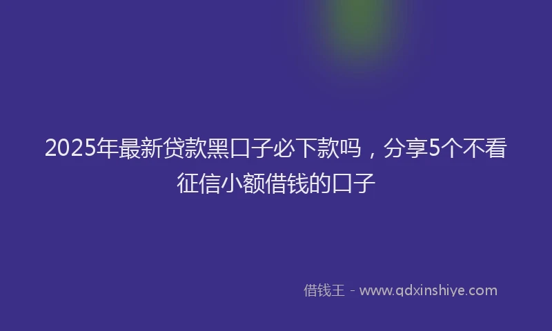 2025年最新贷款黑口子必下款吗，分享5个不看征信小额借钱的口子