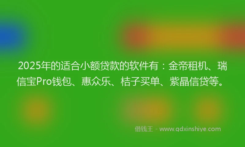 2025年的适合小额贷款的软件有：金帝租机、瑞信宝Pro钱包、惠众乐、桔子买单、紫晶信贷等。