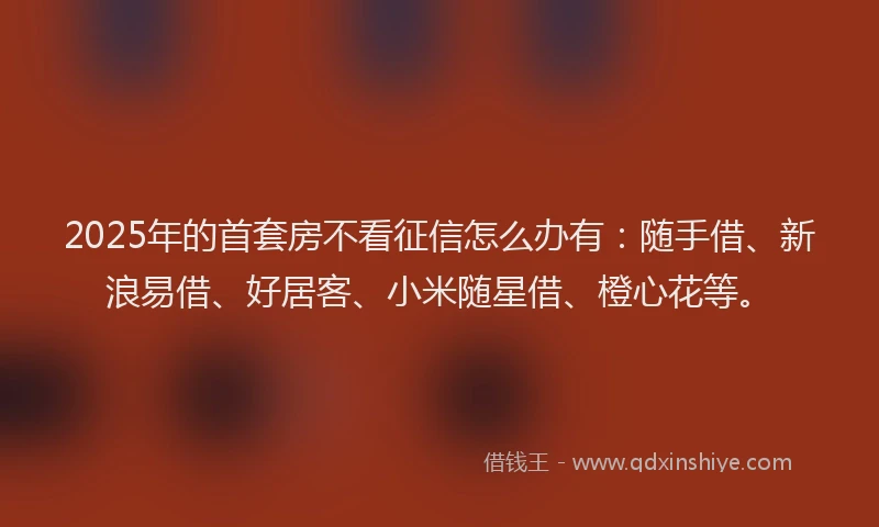 2025年的首套房不看征信怎么办有：随手借、新浪易借、好居客、小米随星借、橙心花等。