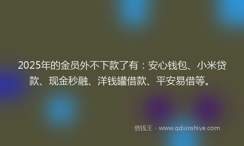 2025年的金员外不下款了有：安心钱包、小米贷款、现金秒融、洋钱罐借款、平安易借等。