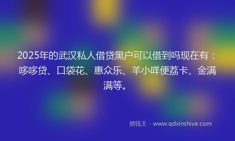 2025年的武汉私人借贷黑户可以借到吗现在有：哆哆贷、口袋花、惠众乐、羊小咩便荔卡、金满满等。