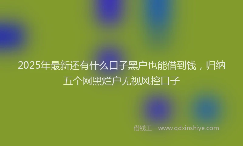 2025年最新还有什么口子黑户也能借到钱，归纳五个网黑烂户无视风控口子