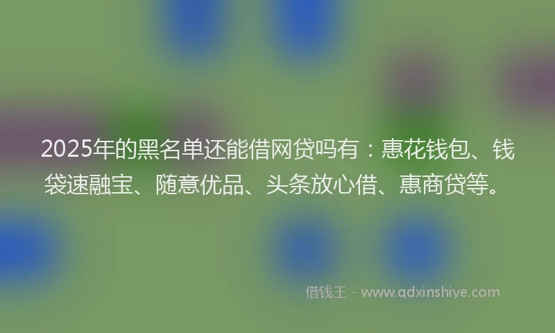 2025年的黑名单还能借网贷吗有：惠花钱包、钱袋速融宝、随意优品、头条放心借、惠商贷等。