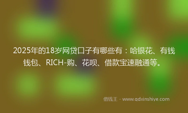 2025年的18岁网贷口子有哪些有：哈银花、有钱钱包、RICH-购、花呗、借款宝速融通等。