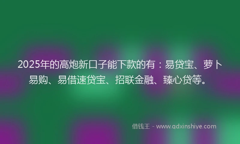 2025年的高炮新口子能下款的有：易贷宝、萝卜易购、易借速贷宝、招联金融、臻心贷等。