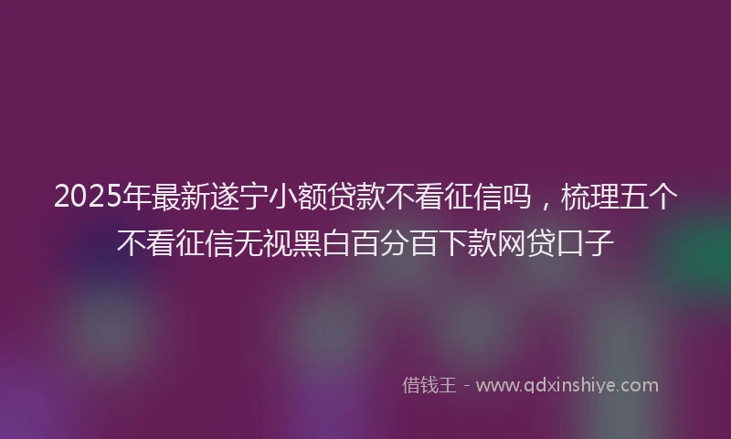 2025年最新遂宁小额贷款不看征信吗，梳理五个不看征信无视黑白百分百下款网贷口子