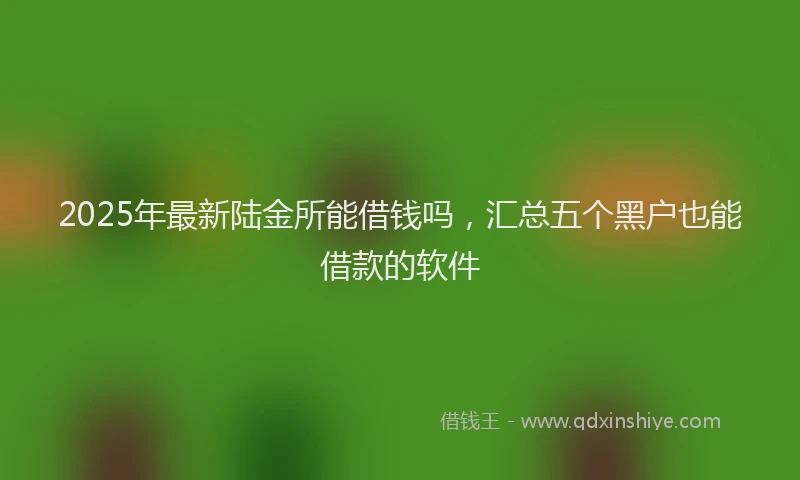 2025年最新陆金所能借钱吗，汇总五个黑户也能借款的软件