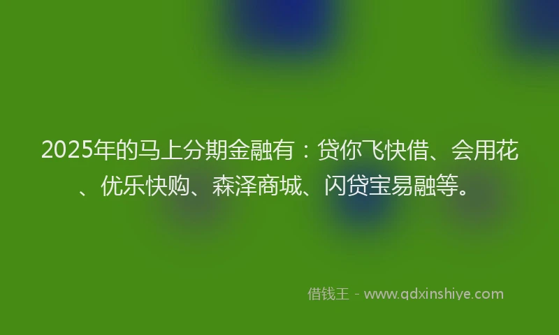 2025年的马上分期金融有：贷你飞快借、会用花、优乐快购、森泽商城、闪贷宝易融等。