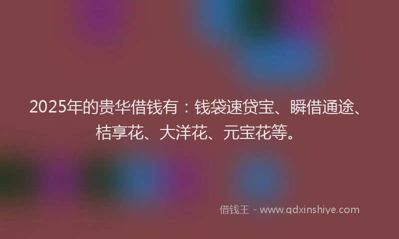 2025年的贵华借钱有：钱袋速贷宝、瞬借通途、桔享花、大洋花、元宝花等。