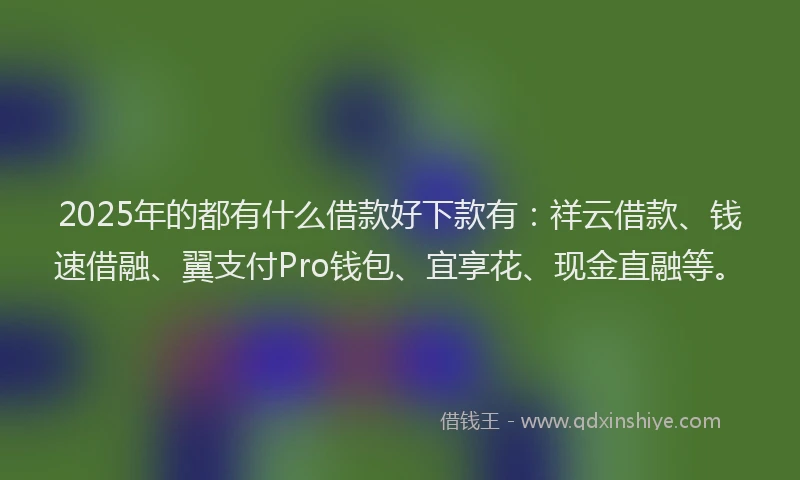 2025年的都有什么借款好下款有：祥云借款、钱速借融、翼支付Pro钱包、宜享花、现金直融等。