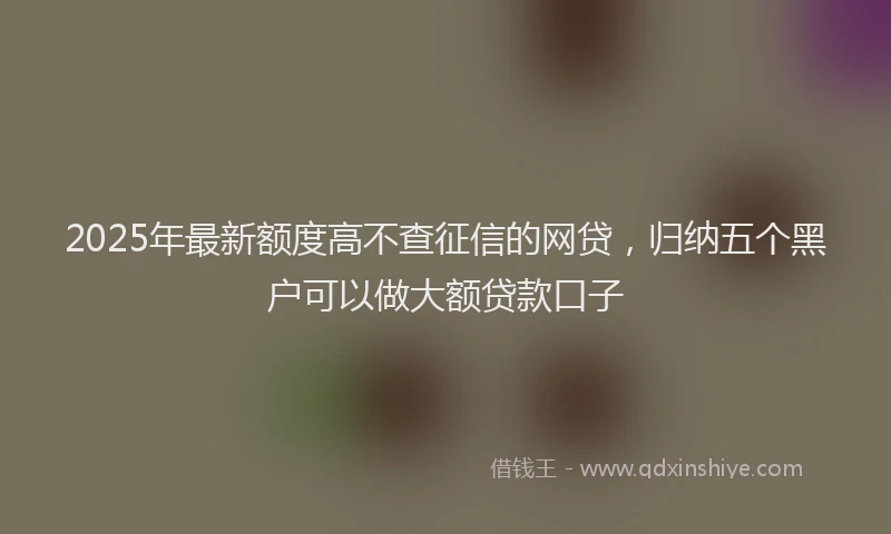 2025年最新额度高不查征信的网贷，归纳五个黑户可以做大额贷款口子