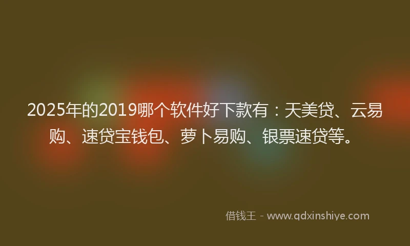 2025年的2019哪个软件好下款有：天美贷、云易购、速贷宝钱包、萝卜易购、银票速贷等。