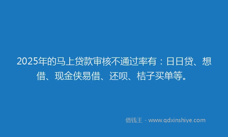 2025年的马上贷款审核不通过率有：日日贷、想借、现金侠易借、还呗、桔子买单等。