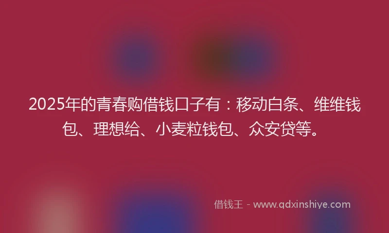 2025年的青春购借钱口子有：移动白条、维维钱包、理想给、小麦粒钱包、众安贷等。