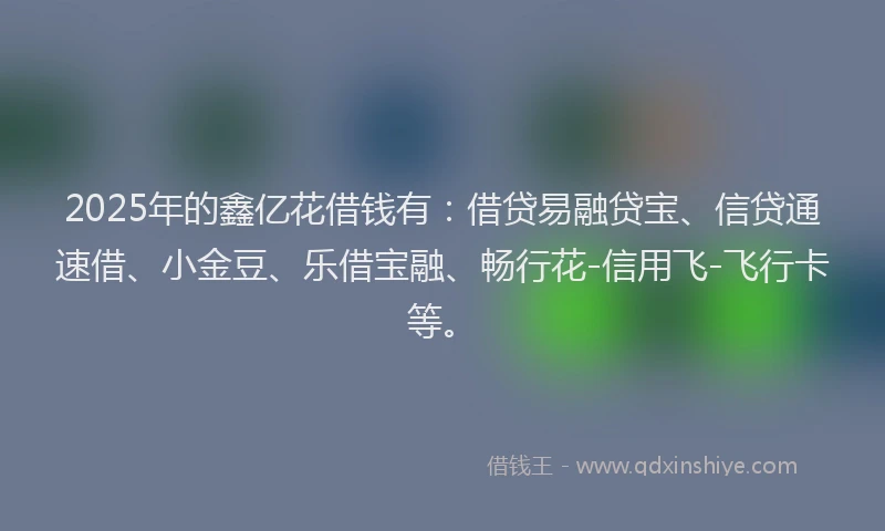 2025年的鑫亿花借钱有：借贷易融贷宝、信贷通速借、小金豆、乐借宝融、畅行花-信用飞-飞行卡等。