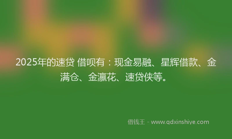 2025年的速贷 借呗有：现金易融、星辉借款、金满仓、金瀛花、速贷侠等。