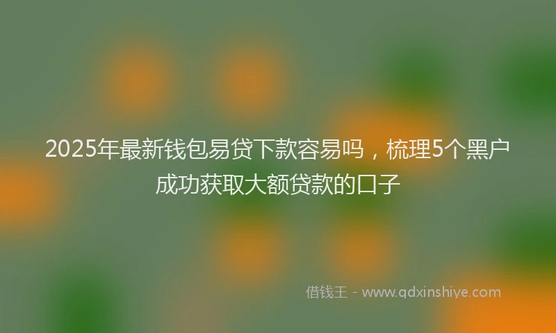 2025年最新钱包易贷下款容易吗，梳理5个黑户成功获取大额贷款的口子