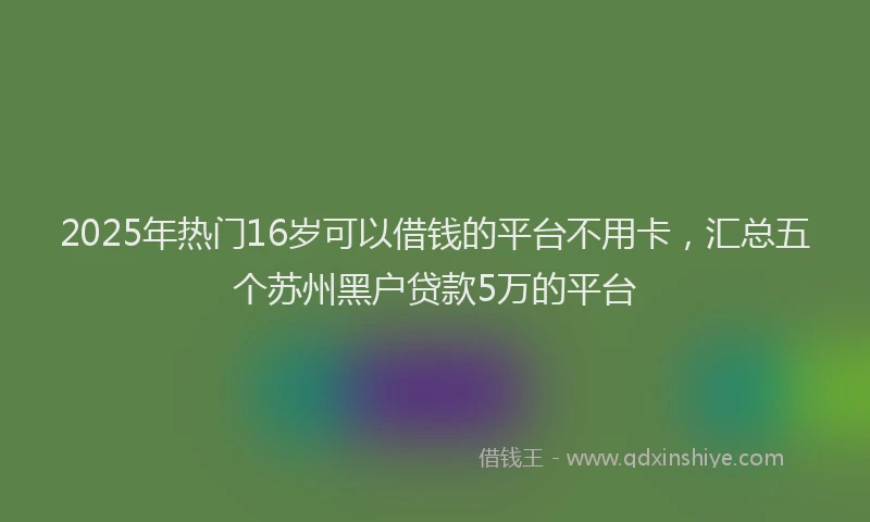 2025年热门16岁可以借钱的平台不用卡，汇总五个苏州黑户贷款5万的平台