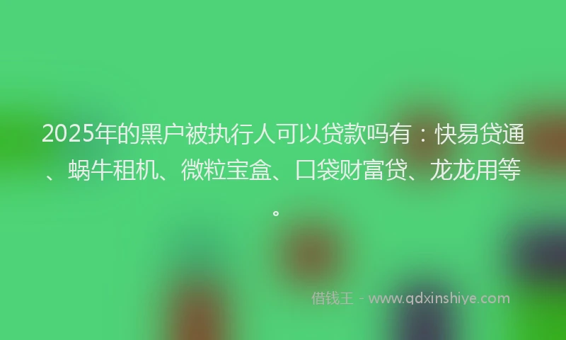 2025年的黑户被执行人可以贷款吗有：快易贷通、蜗牛租机、微粒宝盒、口袋财富贷、龙龙用等。