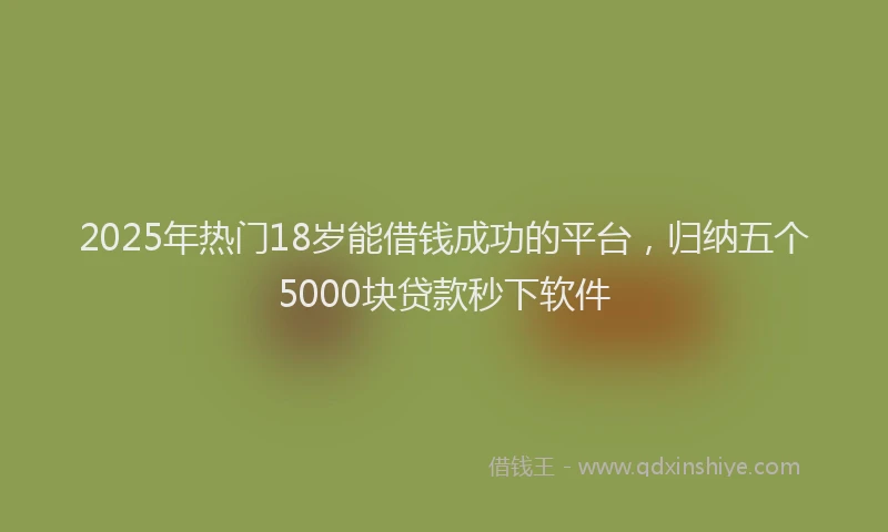 2025年热门18岁能借钱成功的平台，归纳五个5000块贷款秒下软件