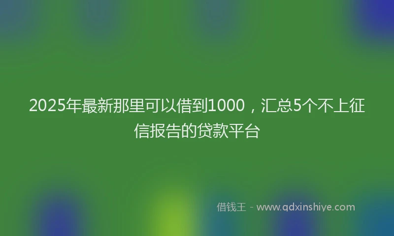 2025年最新那里可以借到1000，汇总5个不上征信报告的贷款平台