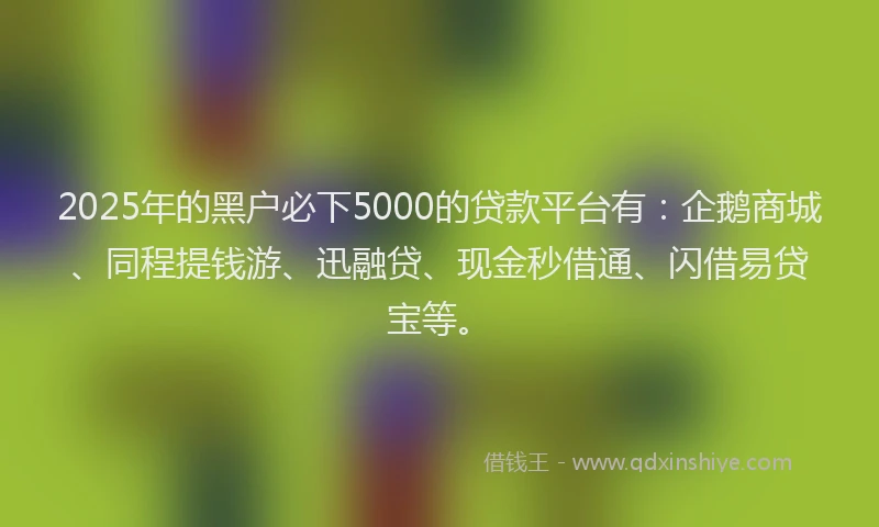 2025年的黑户必下5000的贷款平台有：企鹅商城、同程提钱游、迅融贷、现金秒借通、闪借易贷宝等。