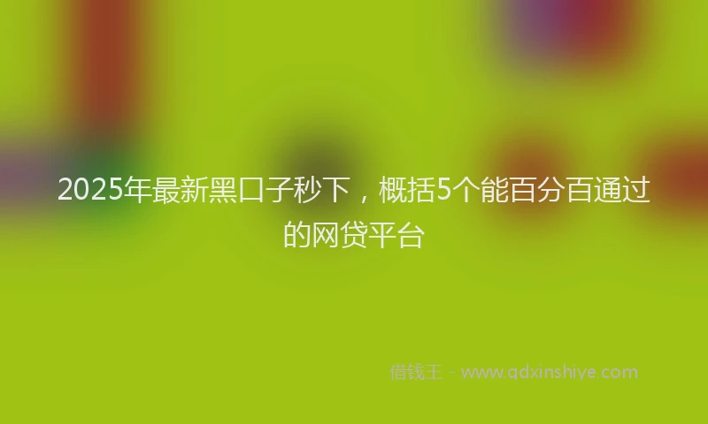 2025年最新黑口子秒下，概括5个能百分百通过的网贷平台