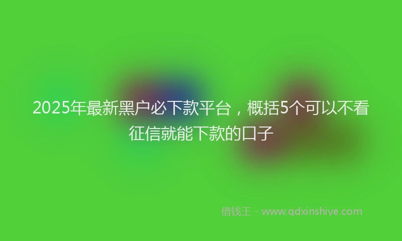2025年最新黑户必下款平台，概括5个可以不看征信就能下款的口子