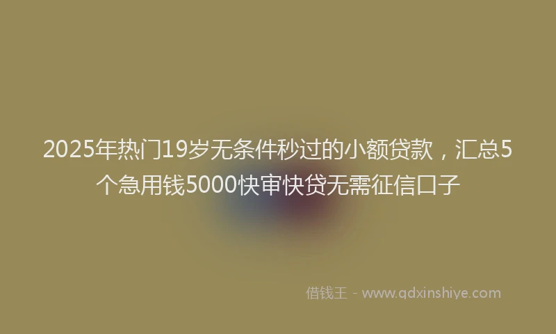 2025年热门19岁无条件秒过的小额贷款，汇总5个急用钱5000快审快贷无需征信口子