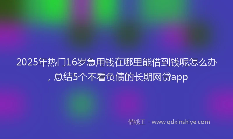 2025年热门16岁急用钱在哪里能借到钱呢怎么办，总结5个不看负债的长期网贷app