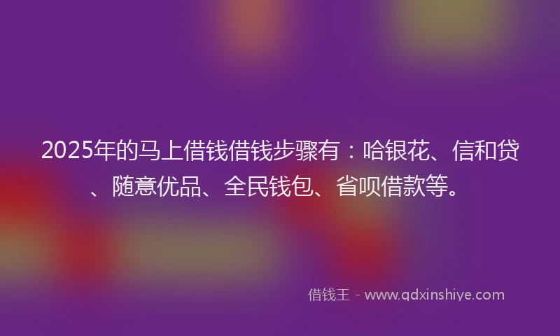 2025年的马上借钱借钱步骤有：哈银花、信和贷、随意优品、全民钱包、省呗借款等。