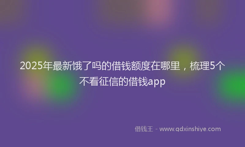 2025年最新饿了吗的借钱额度在哪里，梳理5个不看征信的借钱app