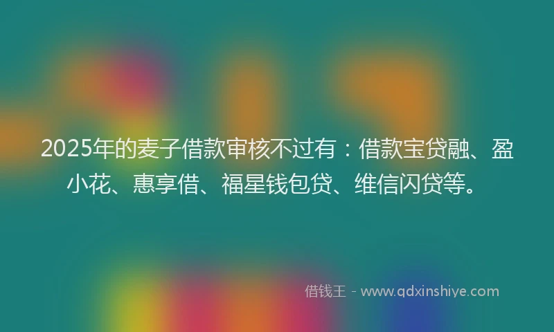2025年的麦子借款审核不过有：借款宝贷融、盈小花、惠享借、福星钱包贷、维信闪贷等。