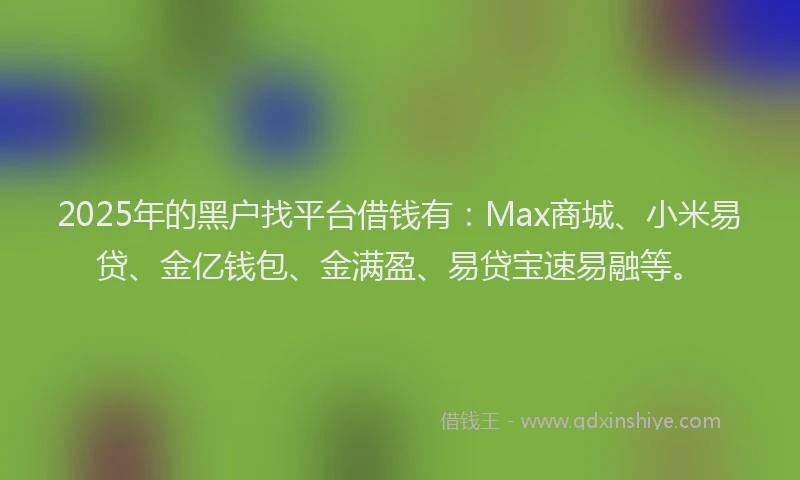2025年的黑户找平台借钱有：Max商城、小米易贷、金亿钱包、金满盈、易贷宝速易融等。