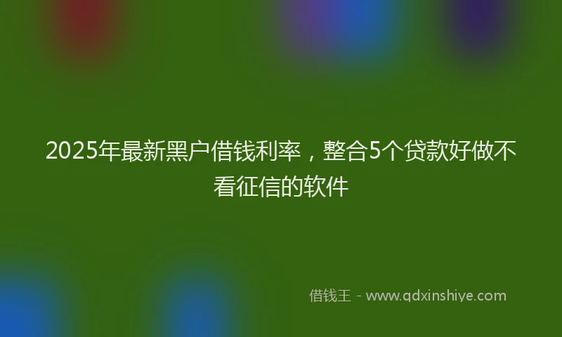 2025年最新黑户借钱利率，整合5个贷款好做不看征信的软件