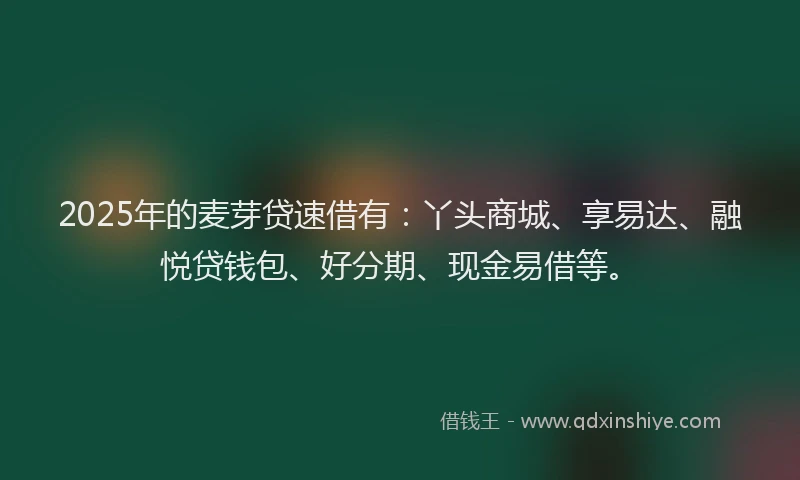 2025年的麦芽贷速借有：丫头商城、享易达、融悦贷钱包、好分期、现金易借等。
