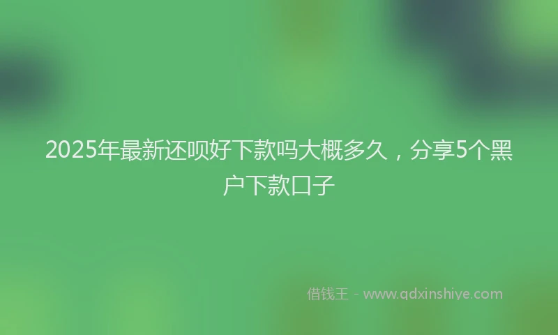 2025年最新还呗好下款吗大概多久，分享5个黑户下款口子