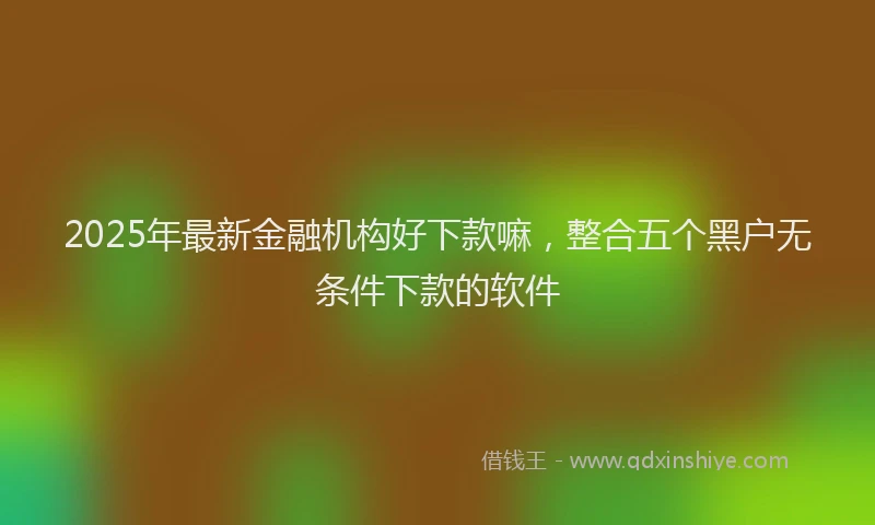 2025年最新金融机构好下款嘛，整合五个黑户无条件下款的软件