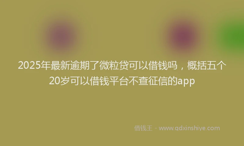 2025年最新逾期了微粒贷可以借钱吗，概括五个20岁可以借钱平台不查征信的app