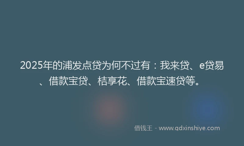 2025年的浦发点贷为何不过有：我来贷、e贷易、借款宝贷、桔享花、借款宝速贷等。
