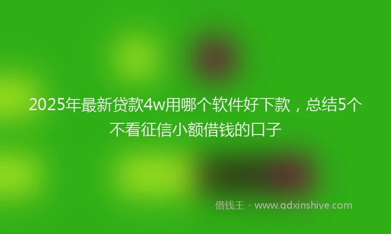 2025年最新贷款4w用哪个软件好下款，总结5个不看征信小额借钱的口子