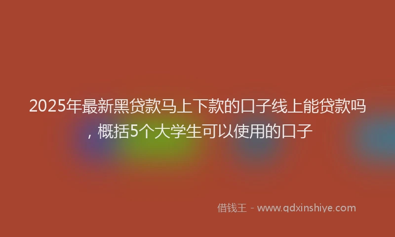 2025年最新黑贷款马上下款的口子线上能贷款吗，概括5个大学生可以使用的口子