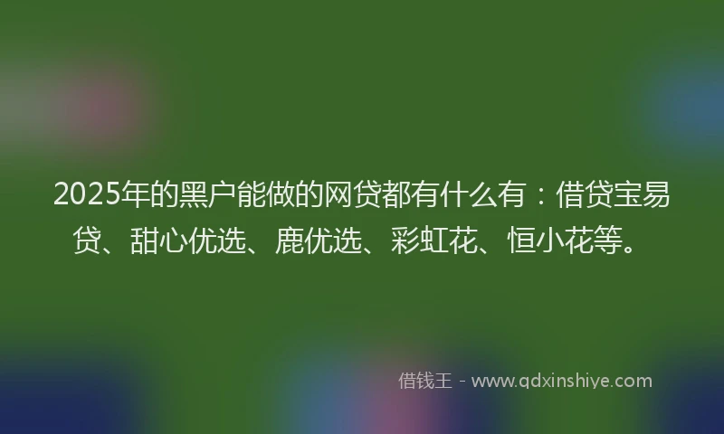 2025年的黑户能做的网贷都有什么有：借贷宝易贷、甜心优选、鹿优选、彩虹花、恒小花等。