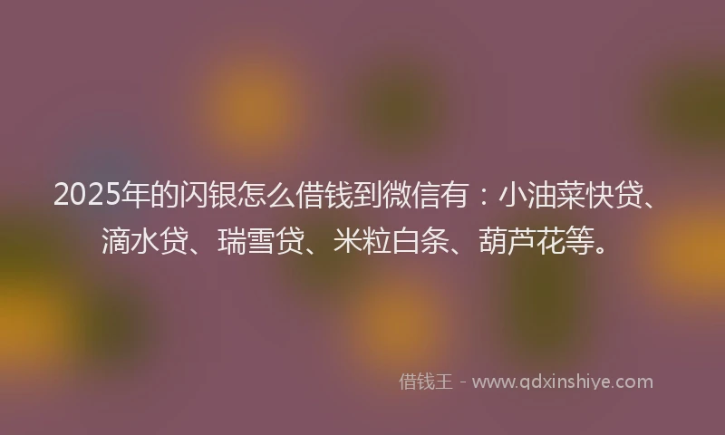 2025年的闪银怎么借钱到微信有：小油菜快贷、滴水贷、瑞雪贷、米粒白条、葫芦花等。