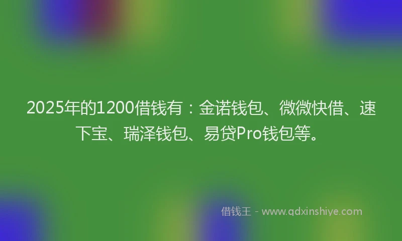 2025年的1200借钱有：金诺钱包、微微快借、速下宝、瑞泽钱包、易贷Pro钱包等。