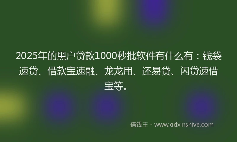2025年的黑户贷款1000秒批软件有什么有：钱袋速贷、借款宝速融、龙龙用、还易贷、闪贷速借宝等。